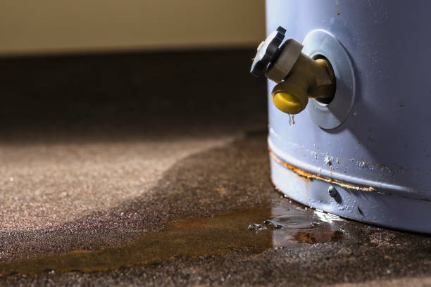 Reliable Miami Heights, OH Water damage restoration Solutions