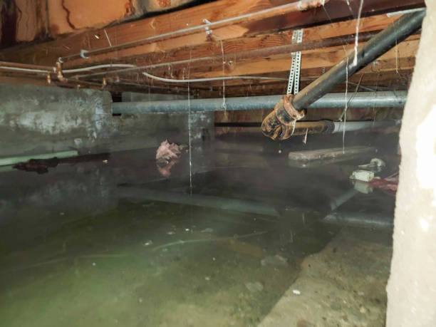 Best Sewage cleanup and water damage restoration  in Miami Heights, OH