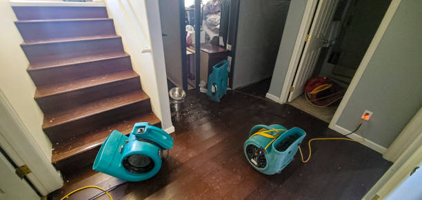 Carpet water damage restoration in Miami Heights, OH