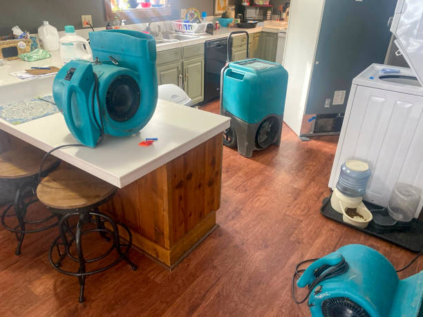 Best Flood damage cleanup  in Miami Heights, OH