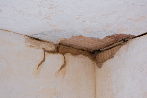 Best 24-hour water damage restoration  in Miami Heights, OH