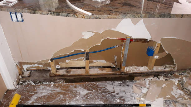 Best Water damage cleanup near me  in Miami Heights, OH