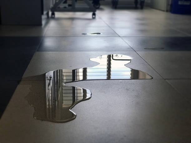 Best 24/7 water damage repair  in Miami Heights, OH