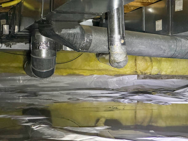 Best Professional water damage repair  in Miami Heights, OH