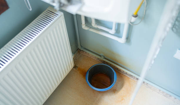 Best Water damage repair service  in Miami Heights, OH