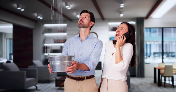 Best Carpet water damage restoration  in Miami Heights, OH