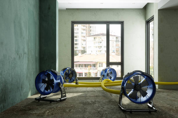 Best Commercial water damage restoration  in Miami Heights, OH