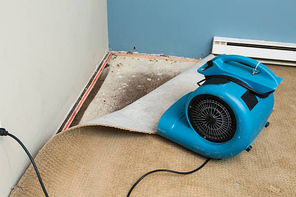 Best Flood restoration services  in Miami Heights, OH